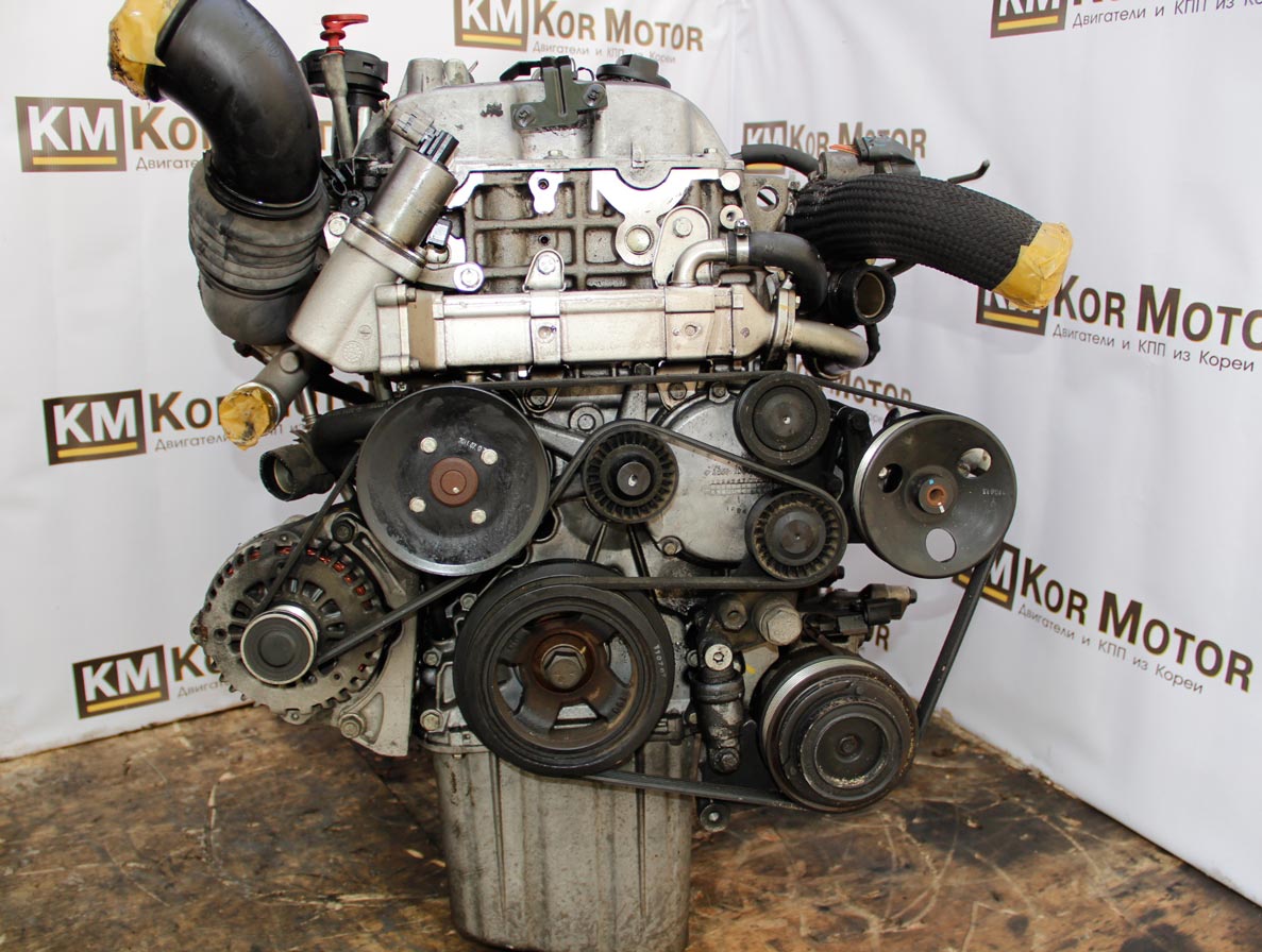 Двигатель санг енг актион дизель. Двигатель SSANGYONG Kyron 2.0 дизель. Двигатель Санг енг Кайрон 2.0. Двигатель SSANGYONG Actyon 2.0 дизель. Двигатель ССАНГЙОНГ Кайрон 2.0 дизель.